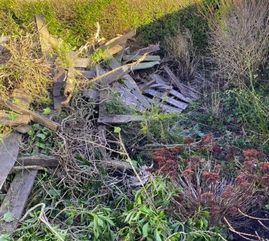 Enlèvement des déchets verts